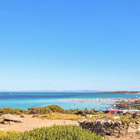 Nyaraló Pet Friendly In *